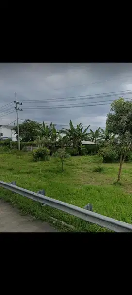 tanah poros pinggir exit tol