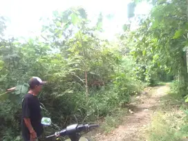 Tanah Pekarangan 2482m2 Lendah Kulon Progo