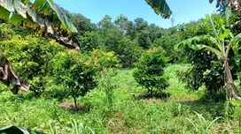 Dijual tanah Residensial Kavling 3396m2 di Pasir Putih Sawangan