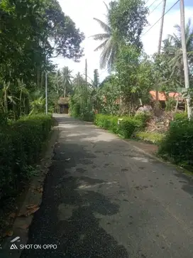 Tanah Pekarangan 367m2 Janten Temon Kulon Progo