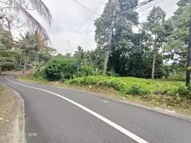 Tanah View Gunung Dan Lembah Di Selemadeg Tabanan Bali