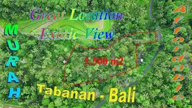 5,500 m2 Langka! Murah Lokasi  Lahan Pinggir Jalan