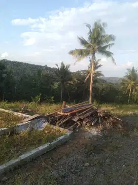 PROMO TANAH KAVLING  KULONPROGO dengan VIEW MENARIK
