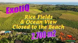 Mostly Flat 2,700 m2 closed to Pasut Beach in Selemadeg