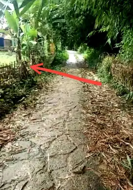 Dijual CEPAT Tanah Darat 600m²  Cibarusah Bekasi