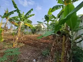 Dijual tanah datar murah di Cipageran karya bakti