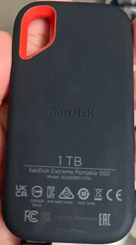 SanDisk Portable SSD (1TB)