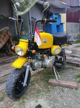 Motor monkey costum basic c100