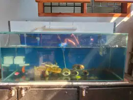 Jual aquarium aja+talang filter