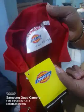 Werpack Dickies  New