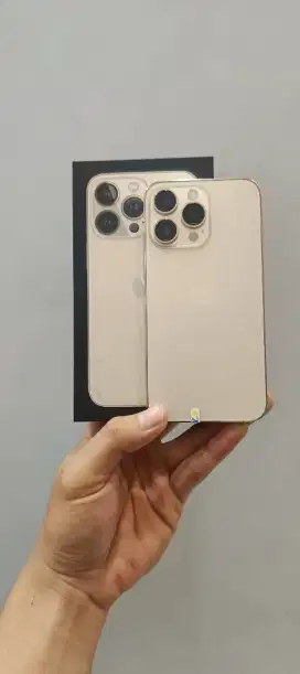 iPhone 13 PRO Supermulus