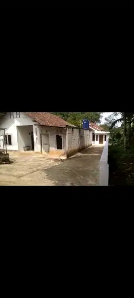 rumah asri murah