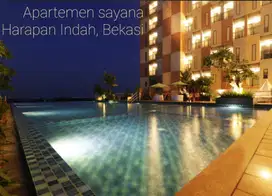 Staycation Yuk!