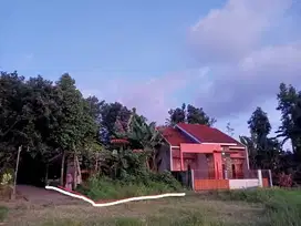 Jual Cepat BU! Tanah view sawah lingkungan perumahan