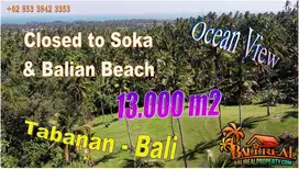 10,000 m2 Land with Great Ocean View in Selemadeg Barat
