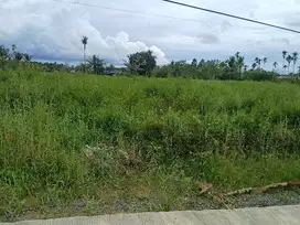 Jual Tanah di Kota Sorong Kilo 15 Samping Kantor Gubernur.