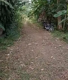 Tanah kavling dekat kampus Unwiku Karangsalam Purwokerto