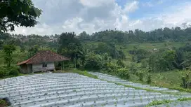 Dijual Murah Tanah 1,4 Hektar Akses Mobil di Bojong Purwakarta