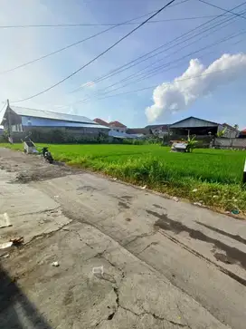 Jual Tanah Kavling Luas Mulai 96m2 Lokasi Pura Demak Denpasar Barat