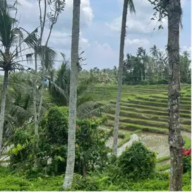 BUC di jual tanah dengan view sawah dan sungai di tabanan