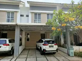 di sewakan rumah bagus 2 lantai d JGC cluster palm spring