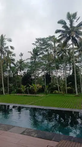 Jual Cepat Unit Villa Stana Giri Ubud Gianyar Bali Ada Private Pool