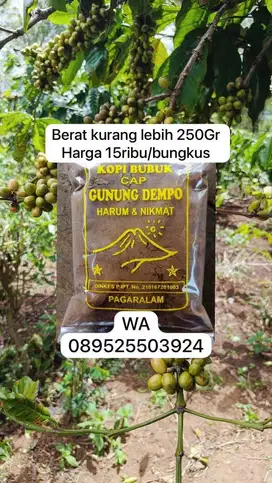 Kopi Pagar Alam Fresh baru digiling, Panen Sendiri, Bisa Antar/COD