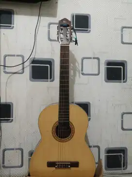 Gitar OSMOND type C-600
