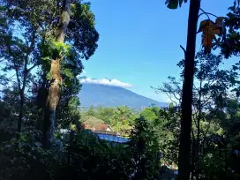 Mencari pekerjaan