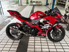 Kawasaki Ninja Rr 250 cc