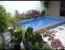 Private Pool Homestay Utara UII EKONOMI
