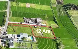 1200 sqm Residential Land in Nyanyi, Tabanan