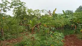 Tanah Lt. 1800 m, Dekat Pintu Tol 1,6 km, Darangdan, Purwakarta.