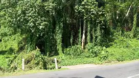 Tanah Premium Dekat Maya Resort Ubud