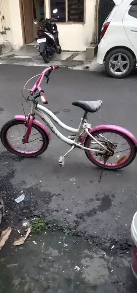Sepeda anak cewek R16