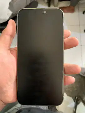 Iphone 15 Pro Max 256gb ex Blibli/Ibox