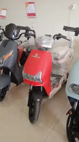 Sepeda Listrik Pasific Zeckrom 300 Red