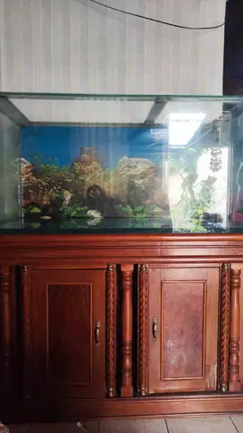 Dijual Aquarium ikan