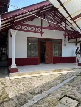 DIJUAL BU JL BATU TULIS RAYA BOGOR SHM 12.5M NEGO