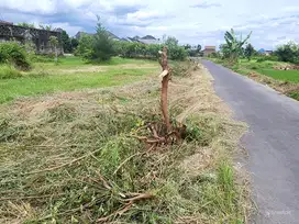 Tanah Apik Trihanggo Gamping Dalam Ringroad Dekat Jl. Kabupaten Sleman