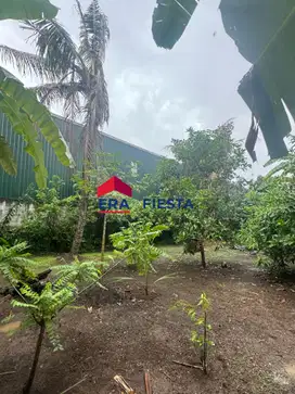 Dijual Cepat Tanah Kavling Pinggir Jalan Raya Teluk Naga Tangerang