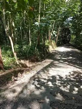 Banting harga sangat murah tanah istimewa 300m dari Jl Boro