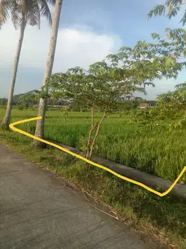 Dijual tanah sawah view gunung menoreh jln godean km 15