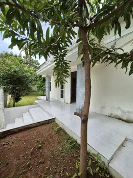 RUMAH SEWA DI CAMAR BINTARO DG TAMAN YG LUAS MANDAR PINGUIN PERKICI