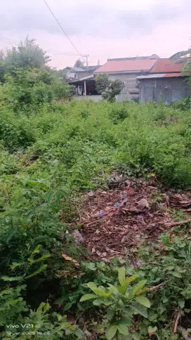 Jual cepat sepetak tanam rumah