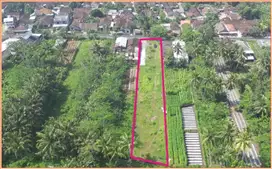 Siap Akad Notaris Tanah Dekat RSUD Sleman Mangku Jalan