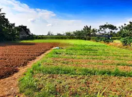 Dijual Tanah Strategis Cocok Buat Usaha Dipinggir Jalan Babelan Bekasi