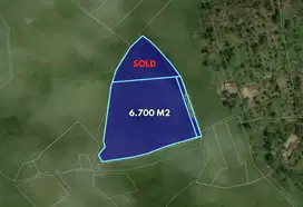 Beautiful land of 6700 sqm for sale in Buleleng, Bali