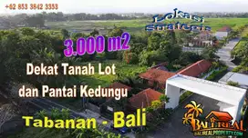 Under Market Price 3,000 sqm in Kediri with Private Access