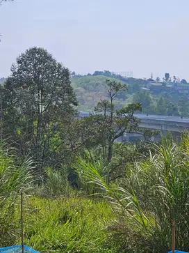 Welcome Investor Dijual tanah di sebelah LIDO MNC group, Sukabumi